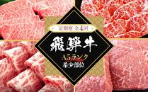 【全４回定期便】飛騨牛Ａ5 「希少部位」全4回 1.2kg（三角バラ カイノミ イチボ ランプ）｜国産 肉 牛肉 焼肉 和牛 黒毛和牛 グルメ おすすめ【飛騨牛 和牛ブランド 飛騨牛 黒毛和牛 飛騨牛 岐阜 大野町 飛騨牛】