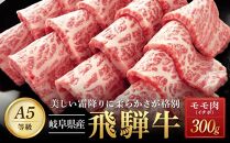 【全４回定期便】飛騨牛Ａ5 「希少部位」全4回 1.2kg（三角バラ カイノミ イチボ ランプ）｜国産 肉 牛肉 焼肉 和牛 黒毛和牛 グルメ おすすめ【飛騨牛 和牛ブランド 飛騨牛 黒毛和牛 飛騨牛 岐阜 大野町 飛騨牛】