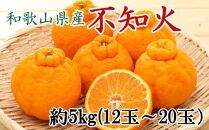 和歌山県産不知火約5kg（12玉～20玉おまかせ）2L～5Lサイズ★2025年2月下旬～3月下旬発送【TM131】