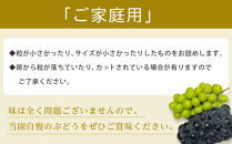 【2026年度_先行予約】【ご家庭用】シャインマスカット&nbsp;約1kg〔2026年8月中旬より順次発送〕