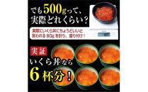 【8月発送】北海道産 いくら（鮭卵）醤油漬け 大容量500g(250g×2パック) 国産 小分けパック イクラ 海鮮丼 ギフト 贈り物 魚介類 魚介 海産物 鮭 シャケ しゃけ 生産者 支援 応援