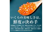 【8月発送】北海道産 いくら（鮭卵）醤油漬け 大容量500g(250g×2パック) 国産 小分けパック イクラ 海鮮丼 ギフト 贈り物 魚介類 魚介 海産物 鮭 シャケ しゃけ 生産者 支援 応援