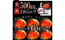 【9月発送】北海道産 いくら（鮭卵）醤油漬け 大容量500g(250g×2パック) 国産 小分けパック イクラ 海鮮丼 ギフト 贈り物 魚介類 魚介 海産物 鮭 シャケ しゃけ 生産者 支援 応援