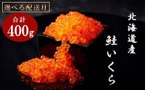 【1月発送】北海道産 いくら（鮭卵）醤油漬け 大容量400g(200g×2パック) 国産 小分けパック イクラ 海鮮丼 ギフト 贈り物 魚介類 魚介 海産物 鮭 シャケ しゃけ 生産者 支援 応援