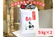 南魚沼しおざわ産　新之助　10kg