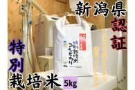 安心安全の新潟県南魚沼産特別栽培米コシヒカリ　5kg　新潟県認証