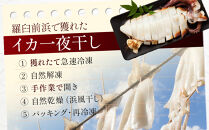 数量限定 渋谷さん家の知床羅臼産 イカの一夜干し 中サイズ 4尾（200g前後×4パック） 生産者 支援 応援
