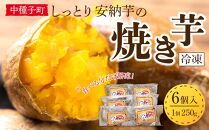 しっとり安納芋の焼き芋250g×6個【国産 種子島 さつまいも さつま芋 安納芋 安納いも サツマイモ 焼芋 やきいも 焼いも 冷やし焼き芋 スイーツ おやつ デザート 冷凍 お取り寄せ おすすめ 人気 中種子町 送料無料 AA01】