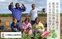 しっとり安納芋の焼き芋250g×6個【国産 種子島 さつまいも さつま芋 安納芋 安納いも サツマイモ 焼芋 やきいも 焼いも 冷やし焼き芋 スイーツ おやつ デザート 冷凍 お取り寄せ おすすめ 人気 中種子町 送料無料 AA01】