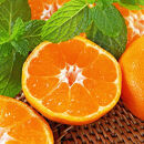 農家直送&nbsp;完熟&nbsp;有田みかん&nbsp;約10kg［先行予約&nbsp;2026年1月発送&nbsp;］［MS13-3］