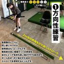 タッチがわかるパット練習レール 1枚（標準ベント） パターマット工房【ポイント交換専用】