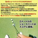 タッチがわかるパット練習レール 1枚（標準ベント） パターマット工房【ポイント交換専用】