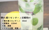 ＼寄附額改定／　鞆の浦リモンチーノ (200ml×2本) レモンリキュール【リキュール 酒 アルコール 檸檬 カクテル リモンチェッロ 広島県 福山市】