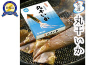 佐渡島産 丸干しいか 500g 朝獲れ 【冷凍便】