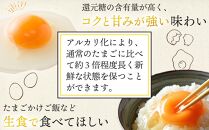 アルカリ化 玉子 紀州地養卵 合計 40個入 (30個＋割れ補償分10個）卵 たまご 玉子 タマゴ 鶏卵 まとめ買い オムレツ 卵かけご飯 朝食 業務用