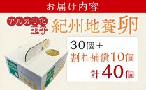 アルカリ化 玉子 紀州地養卵 合計 40個入 (30個＋割れ補償分10個）卵 たまご 玉子 タマゴ 鶏卵 まとめ買い オムレツ 卵かけご飯 朝食 業務用