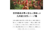 福岡発！ローストチキン専門店のこだわりモモ肉と大手羽のセット＜秘伝の蜂蜜醤油タレ＞