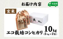 【先行予約】【令和6年産】エコ栽培コシヒカリ 玄米10kg（5kg×2） ／ 高品質 鮮度抜群 福井県産 こしひかり 新米 ※2024年10月上旬より準備出来次第発送