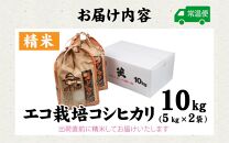 【先行予約】【令和7年産 新米】エコ栽培コシヒカリ 白米10kg（5kg×2） ／ 鮮度抜群 福井県産 こしひかり ご飯 新鮮 白米 ※2025年10月上旬より準備出来次第発送