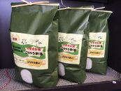 筑前町産お米元気つくし15kg&nbsp;「こりゃうまい（米）！！」【米&nbsp;こめ&nbsp;白米&nbsp;お米&nbsp;精米&nbsp;元気つくし&nbsp;ブランド米&nbsp;筑前町産&nbsp;ライス&nbsp;15kg&nbsp;おすすめ&nbsp;人気&nbsp;福岡県&nbsp;筑前町&nbsp;送料無料&nbsp;FJ003】