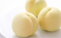 【定期便】&nbsp;2025年&nbsp;フルーツ&nbsp;岡山の旬な果物&nbsp;白桃（早生、中生種）約2kg&nbsp;6~9玉/シャインマスカット&nbsp;大房1房&nbsp;約800g&nbsp;横木農園｜フルーツ&nbsp;果物&nbsp;くだもの&nbsp;桃&nbsp;モモ&nbsp;もも&nbsp;白桃&nbsp;早生&nbsp;中生種&nbsp;シャインマスカット&nbsp;マスカット&nbsp;大房&nbsp;岡山&nbsp;岡山県産&nbsp;国産&nbsp;おすすめ&nbsp;人気&nbsp;定期便&nbsp;ギフト&nbsp;贈答用&nbsp;プレゼント&nbsp;横木農園&nbsp;フルーツ&nbsp;果物&nbsp;もも&nbsp;シャインマスカット&nbsp;白桃