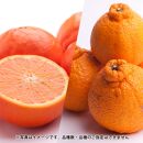 【 2・5・11月 全3回 】 柑橘定期便A【IKE7】