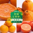 【 2・5・11月 全3回 】 柑橘定期便B【IKE8】