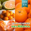 【 2・4・10・12月 全4回 】 柑橘定期便A【IKE5w】