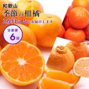 【偶数月 全6回 】 柑橘定期便A【IKE13】