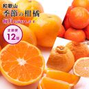 【 毎月発送 全12回 】 柑橘定期便A【IKE9】
