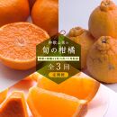【 2・5・11月 全3回 】 柑橘定期便A【IKE7】