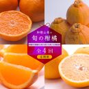 【 2・4・10・12月 全4回 】 柑橘定期便A【IKE5】