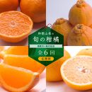 【偶数月 全6回 】 柑橘定期便A【IKE13】