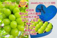 ぶどう&nbsp;2026年&nbsp;&nbsp;岡山県産シャインマスカットＪｅｗｅｌｒｙ&nbsp;ｂｏｘ青化粧箱入り18粒贈答用