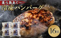 【美ら島あぐ～】冷凍ハンバーグ （16個入り）