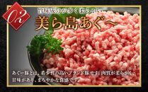 【美ら島あぐ～】冷凍ハンバーグ （16個入り）