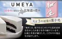 道産ハスカップ香る黒いチーズケーキ350g×1&nbsp;【&nbsp;ケーキ&nbsp;チーズ&nbsp;ハスカップ&nbsp;菓子&nbsp;お菓子&nbsp;おかし&nbsp;スイーツ&nbsp;デザート&nbsp;洋菓子&nbsp;旭川&nbsp;北海道&nbsp;人気&nbsp;お楽しみ&nbsp;セット&nbsp;食品&nbsp;】_03883