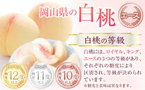 岡山県産&nbsp;桃&nbsp;岡山白桃&nbsp;2026年&nbsp;エース&nbsp;約1kg（4～6玉）【白桃&nbsp;桃&nbsp;もも&nbsp;果物&nbsp;フルーツ&nbsp;新鮮&nbsp;岡山県産&nbsp;おすすめ&nbsp;人気&nbsp;ギフト&nbsp;岡山県&nbsp;岡山市】