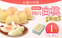 岡山県産&nbsp;桃&nbsp;岡山白桃&nbsp;2026年&nbsp;エース&nbsp;約1kg（4～6玉）【白桃&nbsp;桃&nbsp;もも&nbsp;果物&nbsp;フルーツ&nbsp;新鮮&nbsp;岡山県産&nbsp;おすすめ&nbsp;人気&nbsp;ギフト&nbsp;岡山県&nbsp;岡山市】