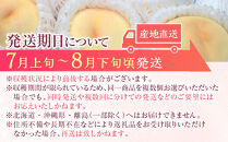 岡山県産&nbsp;桃&nbsp;岡山白桃&nbsp;2026年&nbsp;エース&nbsp;約1kg（4～6玉）【白桃&nbsp;桃&nbsp;もも&nbsp;果物&nbsp;フルーツ&nbsp;新鮮&nbsp;岡山県産&nbsp;おすすめ&nbsp;人気&nbsp;ギフト&nbsp;岡山県&nbsp;岡山市】