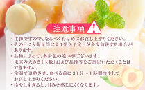 岡山県産&nbsp;桃&nbsp;岡山白桃&nbsp;2026年&nbsp;エース&nbsp;約1kg（4～6玉）【白桃&nbsp;桃&nbsp;もも&nbsp;果物&nbsp;フルーツ&nbsp;新鮮&nbsp;岡山県産&nbsp;おすすめ&nbsp;人気&nbsp;ギフト&nbsp;岡山県&nbsp;岡山市】