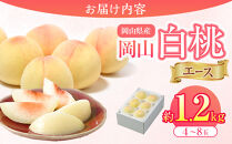 岡山県産&nbsp;桃&nbsp;岡山白桃&nbsp;2026年&nbsp;エース&nbsp;約1.2kg（4～8玉）【白桃&nbsp;桃&nbsp;もも&nbsp;果物&nbsp;フルーツ&nbsp;新鮮&nbsp;岡山県産&nbsp;おすすめ&nbsp;人気&nbsp;ギフト&nbsp;岡山県&nbsp;岡山市】