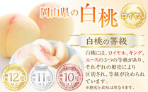 岡山県産&nbsp;桃&nbsp;岡山白桃&nbsp;2026年&nbsp;ロイヤル&nbsp;約2kg（5～10玉）【白桃&nbsp;桃&nbsp;もも&nbsp;果物&nbsp;フルーツ&nbsp;新鮮&nbsp;岡山県産&nbsp;おすすめ&nbsp;人気&nbsp;ギフト&nbsp;岡山県&nbsp;岡山市】