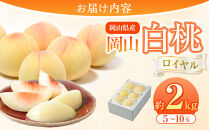 岡山県産&nbsp;桃&nbsp;岡山白桃&nbsp;2026年&nbsp;ロイヤル&nbsp;約2kg（5～10玉）【白桃&nbsp;桃&nbsp;もも&nbsp;果物&nbsp;フルーツ&nbsp;新鮮&nbsp;岡山県産&nbsp;おすすめ&nbsp;人気&nbsp;ギフト&nbsp;岡山県&nbsp;岡山市】