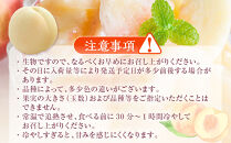 岡山県産&nbsp;桃&nbsp;岡山白桃&nbsp;2026年&nbsp;ロイヤル&nbsp;約2kg（5～10玉）【白桃&nbsp;桃&nbsp;もも&nbsp;果物&nbsp;フルーツ&nbsp;新鮮&nbsp;岡山県産&nbsp;おすすめ&nbsp;人気&nbsp;ギフト&nbsp;岡山県&nbsp;岡山市】