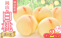 岡山県産&nbsp;桃&nbsp;岡山白桃&nbsp;2026年&nbsp;エース&nbsp;約2kg（5～10玉）【白桃&nbsp;桃&nbsp;もも&nbsp;果物&nbsp;フルーツ&nbsp;新鮮&nbsp;岡山県産&nbsp;おすすめ&nbsp;人気&nbsp;ギフト&nbsp;岡山県&nbsp;岡山市】