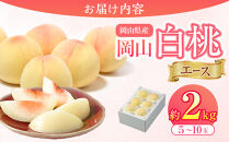 岡山県産&nbsp;桃&nbsp;岡山白桃&nbsp;2026年&nbsp;エース&nbsp;約2kg（5～10玉）【白桃&nbsp;桃&nbsp;もも&nbsp;果物&nbsp;フルーツ&nbsp;新鮮&nbsp;岡山県産&nbsp;おすすめ&nbsp;人気&nbsp;ギフト&nbsp;岡山県&nbsp;岡山市】
