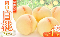 岡山県産&nbsp;桃&nbsp;岡山白桃&nbsp;2026年&nbsp;ロイヤル&nbsp;約4kg（8～16玉）【白桃&nbsp;桃&nbsp;もも&nbsp;果物&nbsp;フルーツ&nbsp;新鮮&nbsp;岡山県産&nbsp;おすすめ&nbsp;人気&nbsp;ギフト&nbsp;岡山県&nbsp;岡山市】