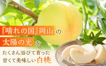 岡山県産&nbsp;桃&nbsp;岡山白桃&nbsp;2026年&nbsp;ロイヤル&nbsp;約4kg（8～16玉）【白桃&nbsp;桃&nbsp;もも&nbsp;果物&nbsp;フルーツ&nbsp;新鮮&nbsp;岡山県産&nbsp;おすすめ&nbsp;人気&nbsp;ギフト&nbsp;岡山県&nbsp;岡山市】