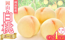 岡山県産&nbsp;桃&nbsp;岡山白桃&nbsp;2026年&nbsp;エース&nbsp;約4kg（8～16玉）【白桃&nbsp;桃&nbsp;もも&nbsp;果物&nbsp;フルーツ&nbsp;新鮮&nbsp;岡山県産&nbsp;おすすめ&nbsp;人気&nbsp;ギフト&nbsp;岡山県&nbsp;岡山市】